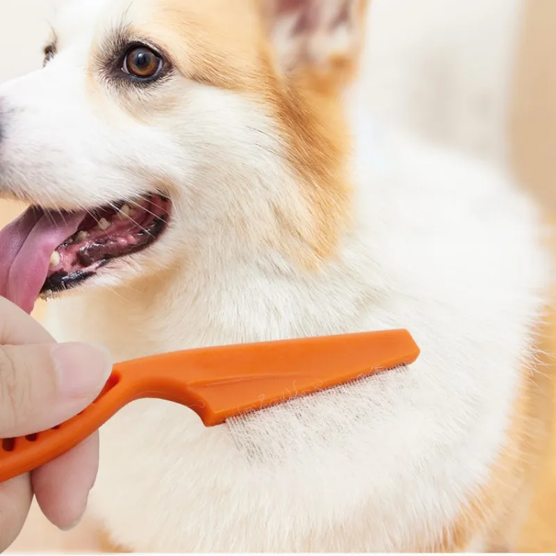 Pet groomers Idaho Falls